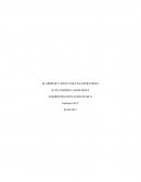 TAREA 1 ESTRATEGIAS DE MARKETING