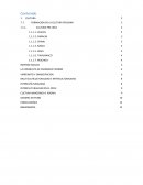 FORMACION DE LA CULTURA PERUANA