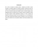 Mi proyecto personal