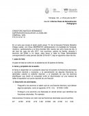 INFORME DE DEMOSTRACION PEDAGOGICA