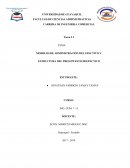 MODELOS DE ADMINISTRACIÓN DEL EFECTIVO Y ESTRUCTURA DEL PRESUPUESTO DEEFECTIVO