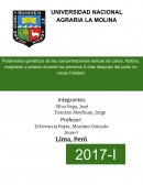 Parametros geneticos de las concentraciones sericas