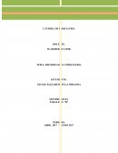 Historia de la psiquiatria, las etapas la concepción mágico-animista