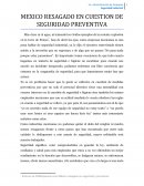 MEXICO RESAGADO EN CUESTION DE SEGURIDAD PREVENTIVA