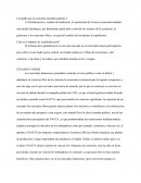 Batalla por la economia mundial Cuál es el impacto de la globalización?