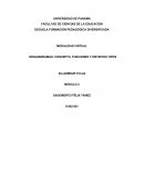 MODALIDAD VIRTUAL ORGANIGRAMAS: CONCEPTO, FUNCIONES Y DISTINTOS TIPOS