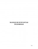 Ensayo Manejo Sustancias Peligrosas