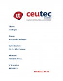 Ecologia. METAS DEL MILENIO