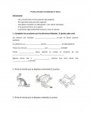 Prueba animales invertebrados