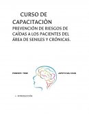 PREVENCIÓN DE RIESGOS DE CAÍDAS A LOS PACIENTES DEL ÁREA DE SENILES Y CRÓNICAS