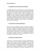 MACROTENDENCIAS. Demográfica: El rol de la mujer ha ido cambiado