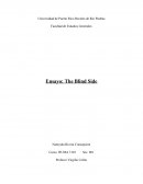 The Blind Side (Un sueño posible)