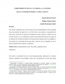 EMPRENDIMIENTO SOCIAL, UNA MIRADA A LA EQUIDAD