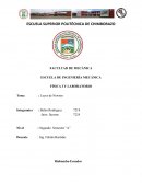 Ejercicios de Leyes de Newton