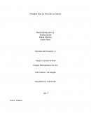 Proyecto Para La Feria De La Ciencia