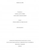 Diario de campo INVESTIGACIÓN