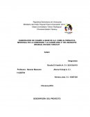 ElABORACION DE CHAMPU A BASE DE AJI, COMO ALTERNATIVA MEDICINAL EN LA COMUNIDAD “LA CANDELARIA II” DEL MUNICIPIO BRUZUAL ESTADO YARACUY