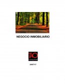NEGOCIO INMOBILIARIO