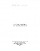 INFORME DE LECTURA- MAPA CONCEPTUAL