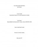 Responsabilidad Social Empresarial: Concepto y alcance (IDE REES-N-020)