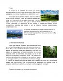 El paisaje es la extensión de terreno que puede apreciarse desde un sitio