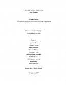 Especialización Superior en Gerencia Integrada de la Calidad