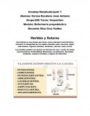 Modulo: Enfermería propedéutica