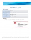 Formato Efectos de la economía