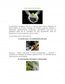 Como actua la Fertilizacion