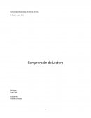 Comprension de lectura de "Para Ser Persona" - Xose M Prieto