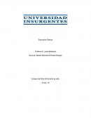 Ensayo del libro Arráncame la vida