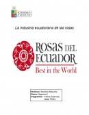 Ecuador y la ventaja comparativa en la exportación de rosas