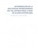 DETERMINACIÓN DE LA EFECTIVIDAD ANTIMICROBIANA DEL GEL ANTIBACTERIAL A BASE DE ALLIUM SATIVUM (AJO)