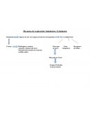 Mecanica de respiración: Inhalación y Exhalación