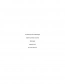 Como se puede Establecer qué diferencias puede encontrar entre las metrologías científica, legal e industrial.