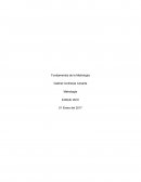 Establezca qué diferencias puede encontrar entre las metrologías científica, legal e industrial.