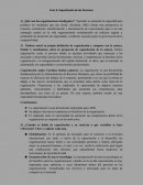 Capacitación de las personas (Carolina Sutton)