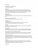 SON ALGUNOS ANTIBIOTICOS