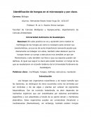 La nueva Práctica de identificación de hongos