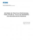INFORME DE PRACTICA PROFESIONAL PARA OPTAR AL TITULO DE INGENIERO EN PREVENCION DE RIESGOS