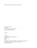 La nueva Importancia de las funciones organización, Control y Staff