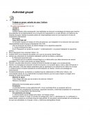 Analizar desde la ética empresarial y las habilidades de dirección la estrategia de trabajo para resolver los problemas de la implementación de un proyecto de cooperación en un país africano