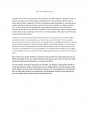 Diario íntimo de María Iribarne