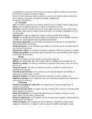 Resumen activos y pasivos