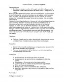 Proyecto Áulico “La Huerta Orgánica”