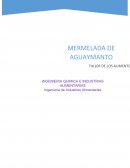 PRACTICA DE MERMELADA DE AGUAYMANTO