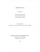 Clasificación y conservación de frutas, verduras y hortalizas congeladas