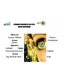 Trabajo Herramientas de la Calidad