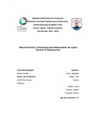 Influencia Física y Psicológica del Padecimiento de Lupus durante la Adolescencia