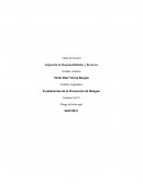 Asignación de responsabilidades y Recursos